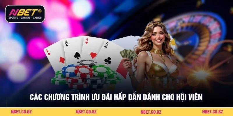 Các chương trình ưu đãi hấp dẫn dành cho hội viên